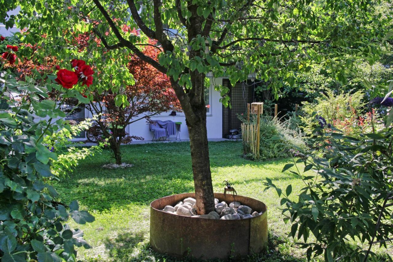 Nigler Innsbruck Apartment Екстериор снимка